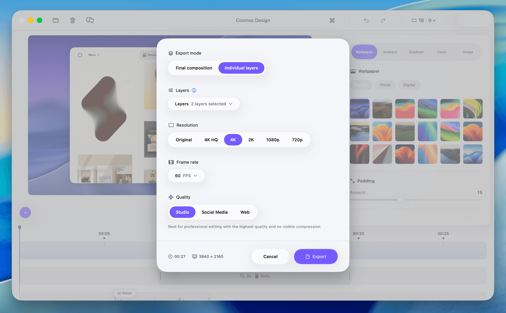 Native resolution export and individual layer export options